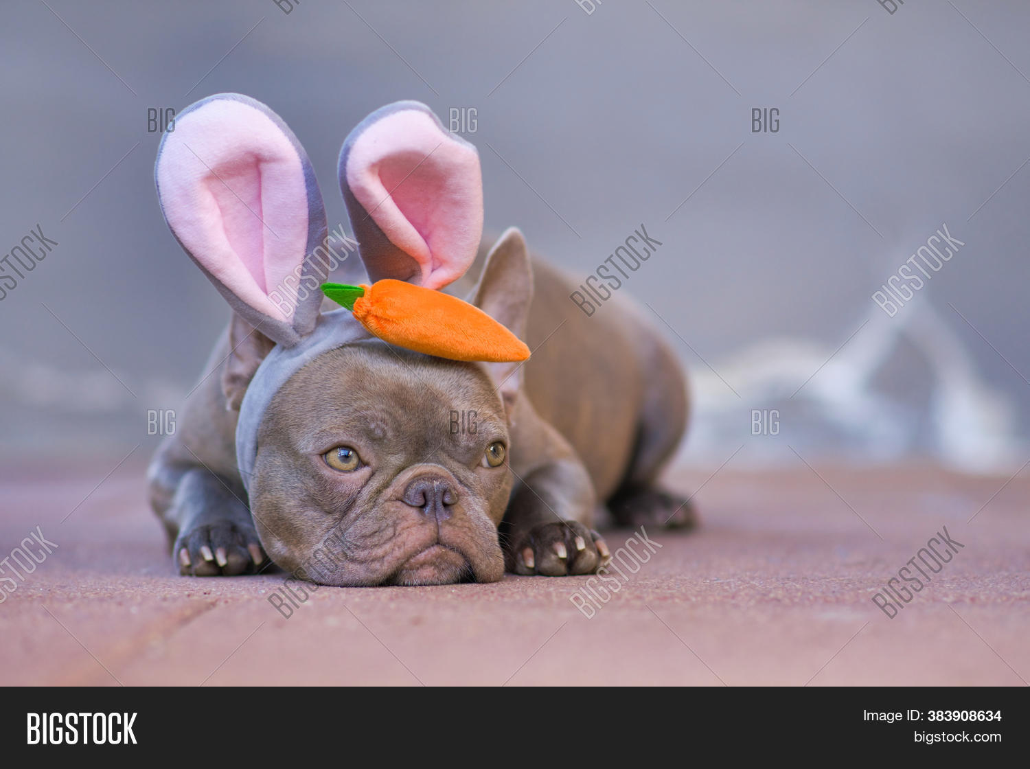 bigstock
