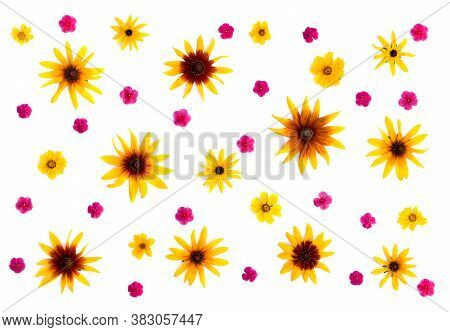 Wildflowers: Rudbeckia (rudbeckia Hirta, Coneflowers And Black-eyed-susans), Coreopsis Lanceolata (c