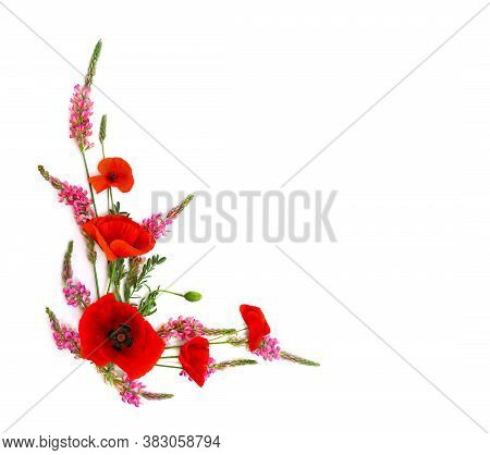 Frame Of Red Poppies (papaver Rhoeas, Common Names: Corn Poppy, Corn Rose, Field Poppy, Coquelicot, 