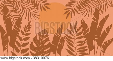 Silhouettes Of Tropical Trees And Leaves, Banana, Palm, Monstera, Fern. African Landscape At Sunset 