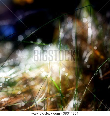abstract Nature