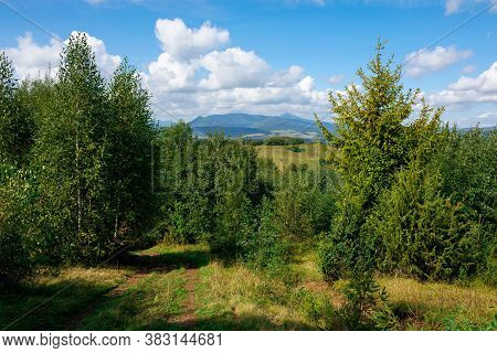 Carpathian Countryside In September. Mountain Landscape On A Sunny Day. Trees On The Meadow. Sky Wit