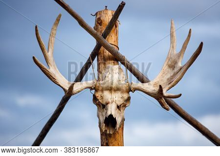 Elk Skull With Horns Hanging On A Pole In The Street