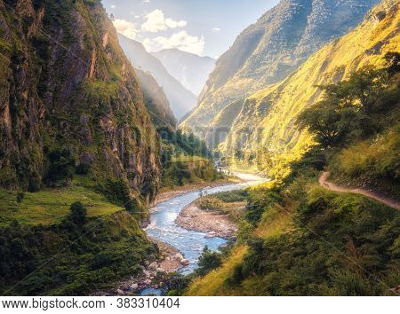 Forest Sunrise Misty Foggy Nature Background. Nature Rain Forest River, Green Forest Stream. Natural