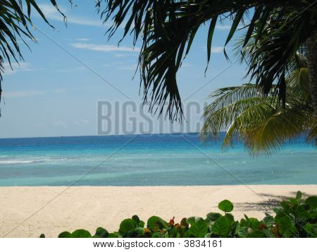 Plage de la Barbade