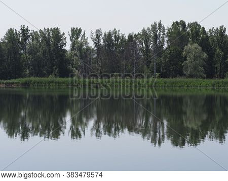 Forest Reflected In Waters Of Artificial Lake In European Goczalkowice Town At Silesian District In 