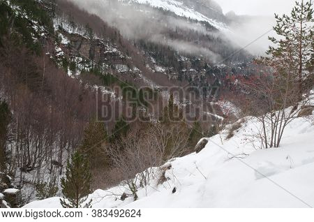 Ordesa Valley in the Ordesa and Monte Perdido National Park. Pyrenees. Huesca. Aragon. Spain.