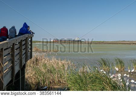 Port Aransas, Tx - 13 Feb 2020: Photographers And Ornithologists Looking At Birds In Wetland At The 