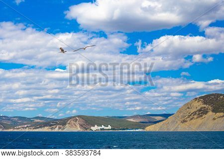 Seascape. Seagulls Are Flying Over The Sea. Reserve Bolshoi Utrish. Travel And Tourism