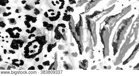 Wild Animal Skin. White Giraffe Pattern. Black Colour Animal Print. Leopard Pattern Illustration. Vi