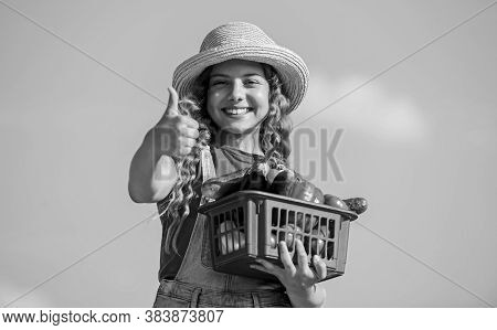 Food Alternative. Kid Summer Farm. Organic Food. Little Girl Vegetable In Basket. Only Natural. Heal