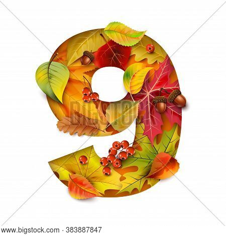 Autumn Stylized Alphabet With Foliage. Digit9. For Your Design.