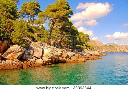 ซีสเคปร้อน, ? roatia