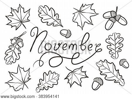 Set Of Hand Drawn November Elements Isolated On White Background. Autumn Icons In Doodlo Style. Mapl