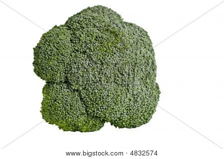 Brocolli isolado