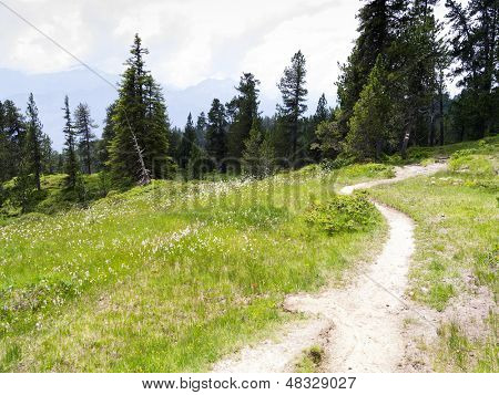 Un'immagine di un paesaggio bello a Beatenberg Svizzera