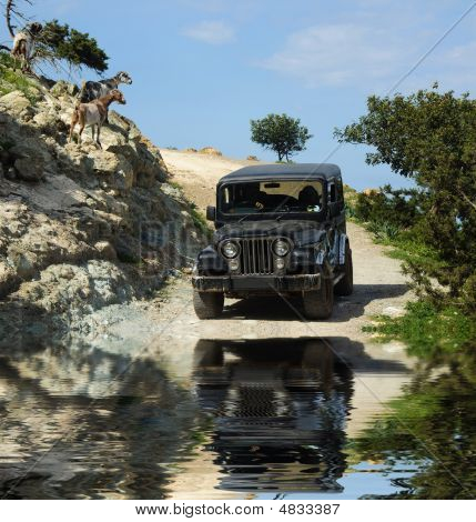 4 x 4 yarış
