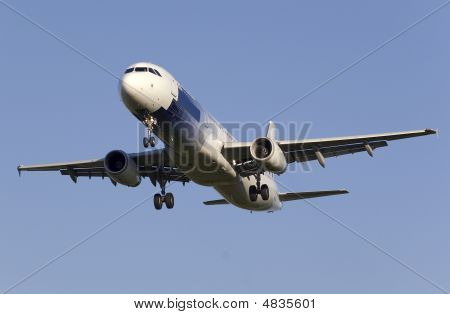 Fly