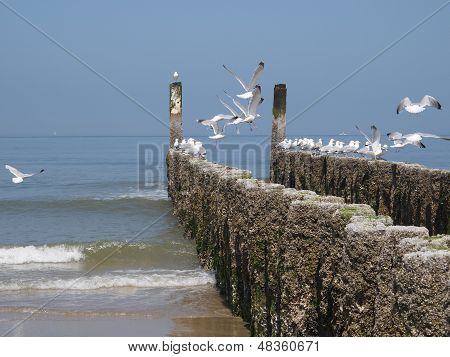 At seaside