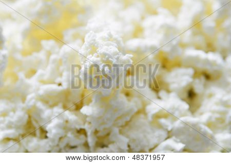 Curd Cheese