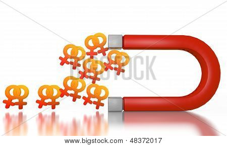 Homosexual Sign Attracted By An Magnet