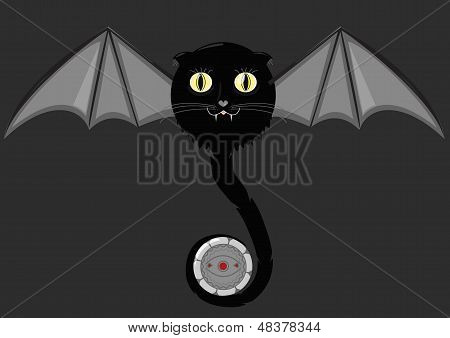 蝙蝠猫