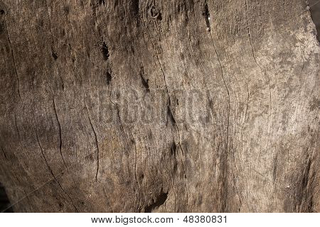 Abstract Brown Wood Closeup