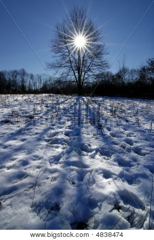 Albero di ispirazione