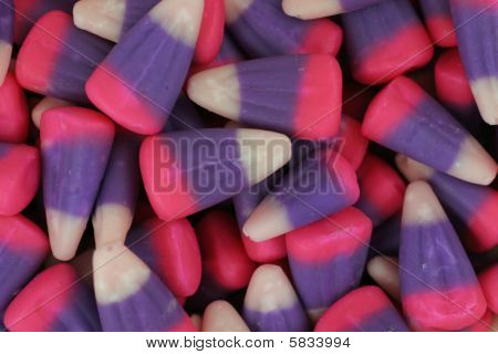 Maíz de caramelo púrpura, rosado y blanco