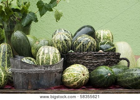 Courgette Vegetable