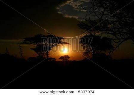African Sunset