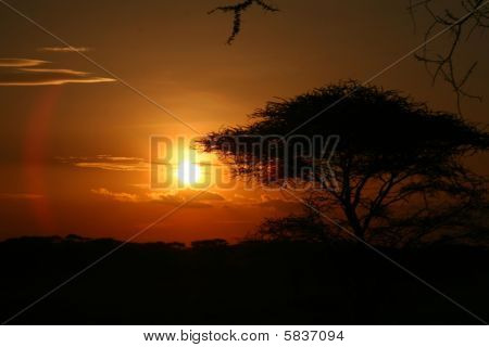 African Sunset