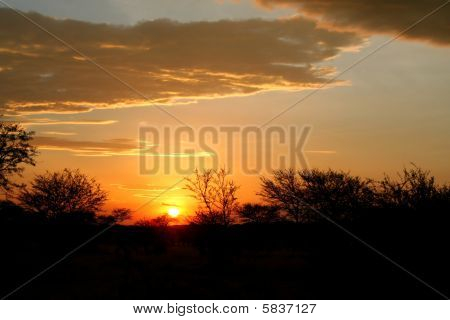 African Sunset