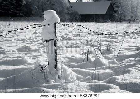 Barbed Wire Fence With Snow