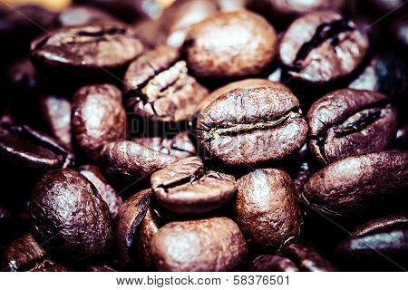 Coffee Bean On Macro For Background