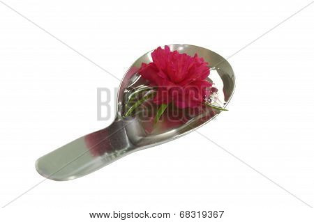 Red flower on the spoon