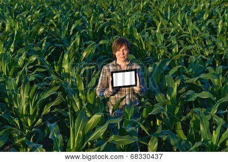 Agronomist With Tablet Computer In Corn Field