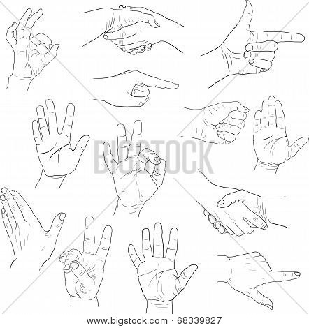 sketch drawing hands