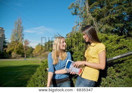 Alunos falando no campus