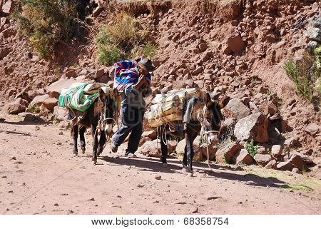 Old peruvian people