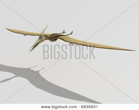 Pterodactyl