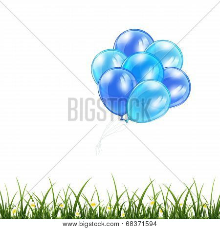 Blue Balloons And Grass