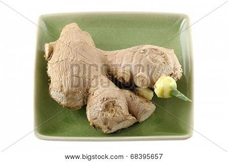 Ginger rhizome root with sprout, isolated on a white background