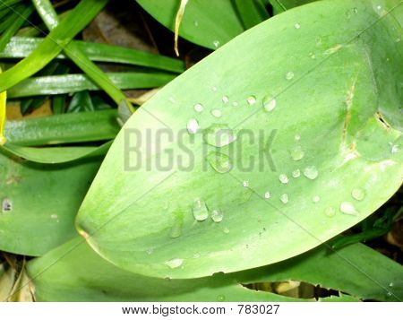 Gotas de agua 2