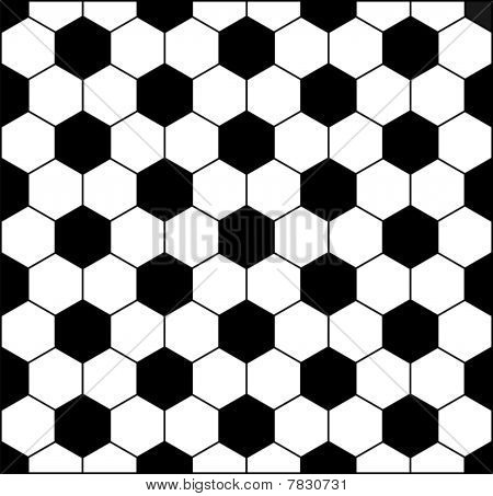 Fodbold
