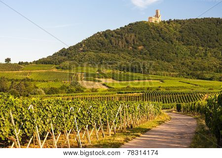 castle Ortenbourg, Alsace, France