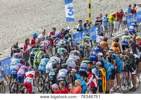The Peloton On Mont Ventoux
