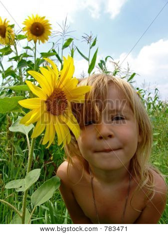 해바라기의 소녀