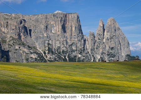 Dolomites View