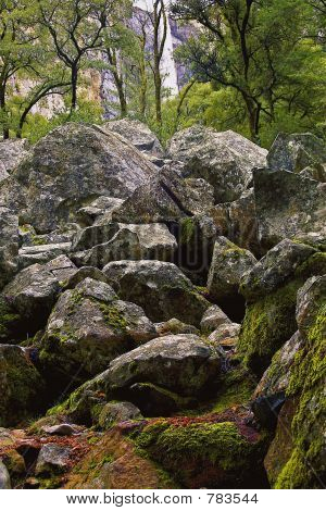 Svatební Yosemitský spadá _IGP0895